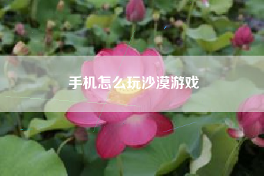 手机怎么玩沙漠游戏