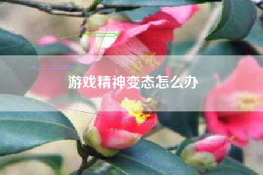 游戏精神变态怎么办
