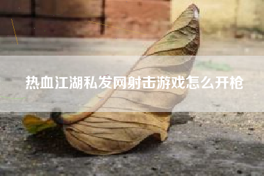 热血江湖私发网射击游戏怎么开枪