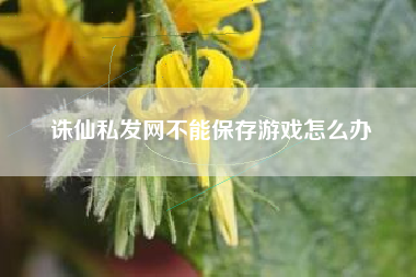 诛仙私发网不能保存游戏怎么办