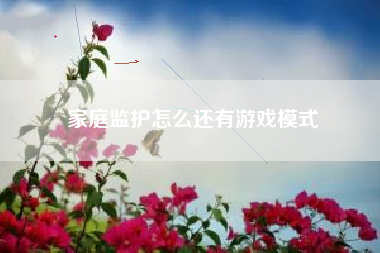 家庭监护怎么还有游戏模式