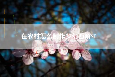 在农村怎么制作梦幻西游SF
