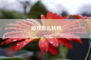 游戏怎么转码