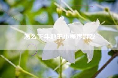 怎么下斗地主小程序游戏