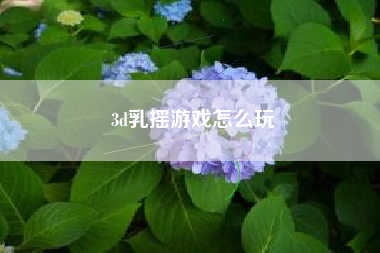 3d乳摇游戏怎么玩