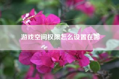 游戏空间权限怎么设置在哪