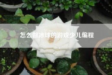 怎么做冰球的游戏少儿编程