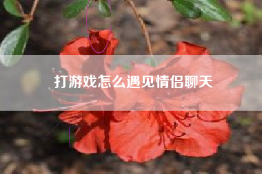 打游戏怎么遇见情侣聊天