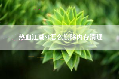 热血江湖SF怎么删除内存清理