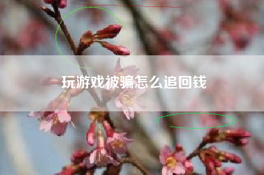 玩游戏被骗怎么追回钱