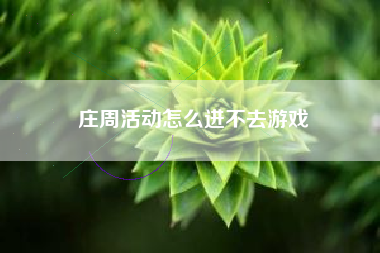 庄周活动怎么进不去游戏