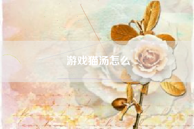 游戏猫汤怎么