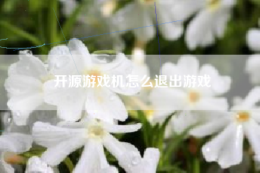 开源游戏机怎么退出游戏