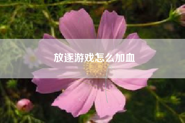 放逐游戏怎么加血