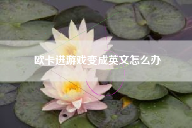 欧卡进游戏变成英文怎么办