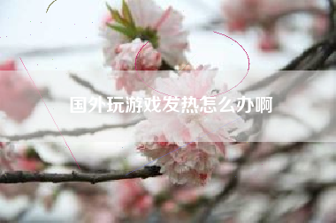 国外玩游戏发热怎么办啊