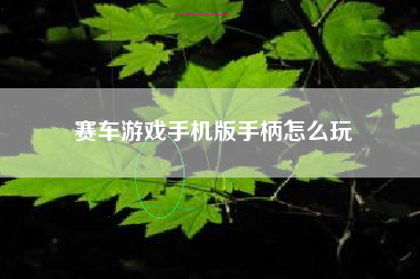赛车游戏手机版手柄怎么玩