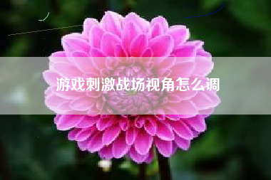 游戏刺激战场视角怎么调