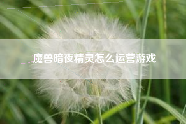魔兽暗夜精灵怎么运营游戏