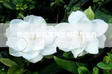 热血江湖私发网没鲜花怎么办
