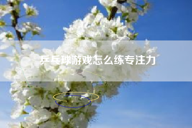 乒乓球游戏怎么练专注力