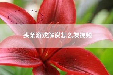 头条游戏解说怎么发视频