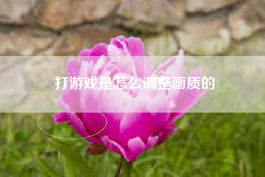 打游戏是怎么调整画质的