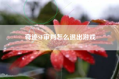 奇迹SF审判怎么退出游戏