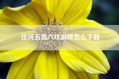 庄河五轰六炸游戏怎么下载