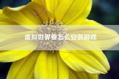 虚拟世界要怎么安装游戏