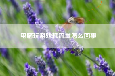 电脑玩游戏耗流量怎么回事