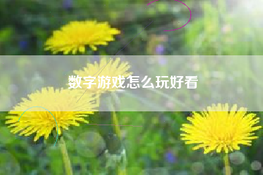 数字游戏怎么玩好看