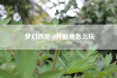 梦幻西游SF开始是怎么玩
