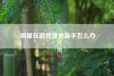 明星玩游戏谁是高手怎么办