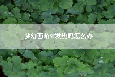 梦幻西游SF发热吗怎么办