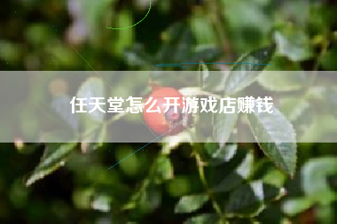 任天堂怎么开游戏店赚钱