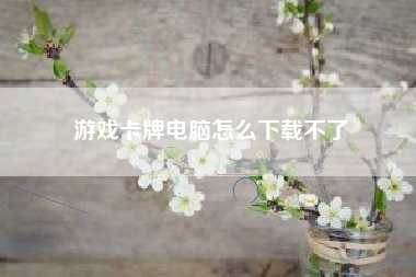 游戏卡牌电脑怎么下载不了