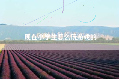 现在小学生怎么玩游戏的
