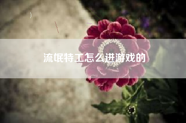 流氓特工怎么进游戏的