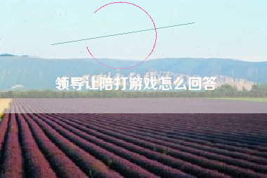 领导让陪打游戏怎么回答