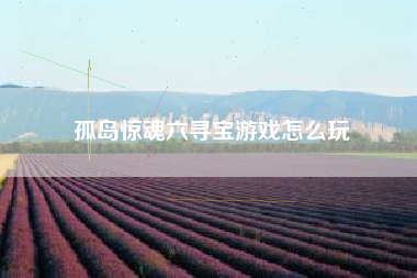 孤岛惊魂六寻宝游戏怎么玩