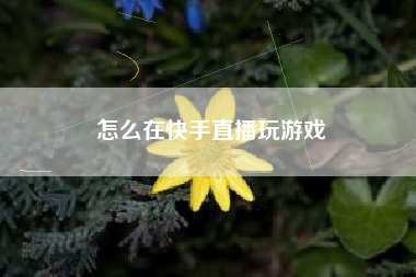 怎么在快手直播玩游戏