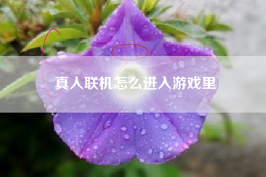真人联机怎么进入游戏里