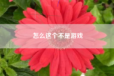 怎么这个不是游戏