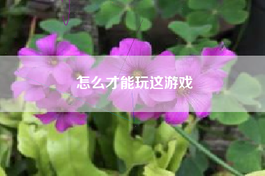 怎么才能玩这游戏