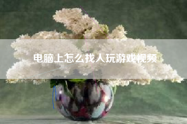 电脑上怎么找人玩游戏视频
