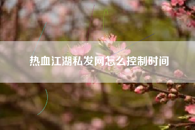 热血江湖私发网怎么控制时间