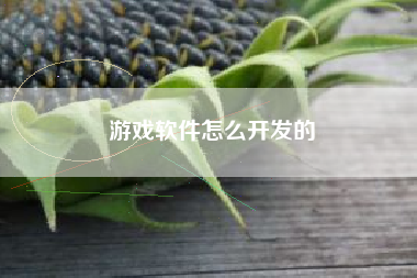 游戏软件怎么开发的