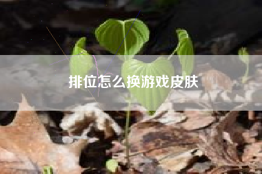 排位怎么换游戏皮肤