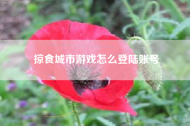 掠食城市游戏怎么登陆账号